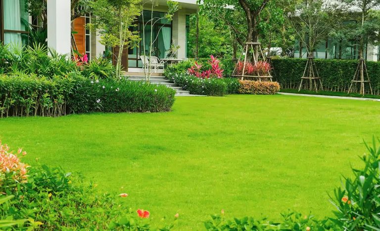 How to Improve Your Home with Seeds and Landscaping