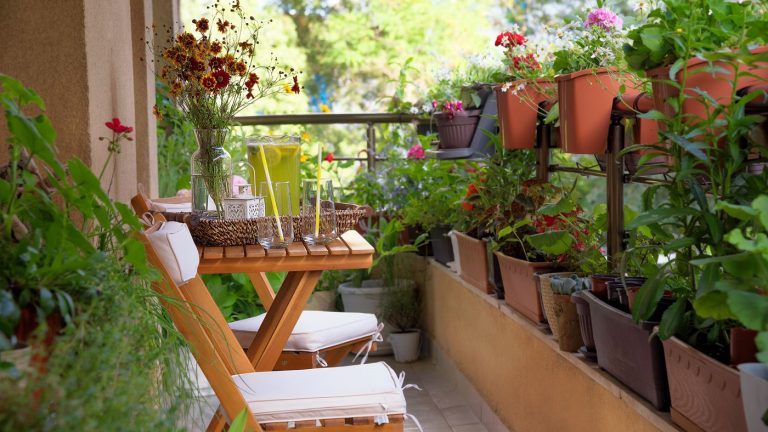 Urban Garden vs. Tools: What Works Best in Gardening & Outdoor Spaces?