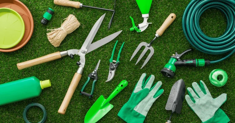 Plants vs. Tools: What Works Best in Gardening & Outdoor Spaces?
